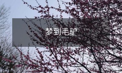 在梦中看到一只毛茸茸的驴,它的啼声令人印象深刻,但这个梦境的意义是否能够引起我们的思考?