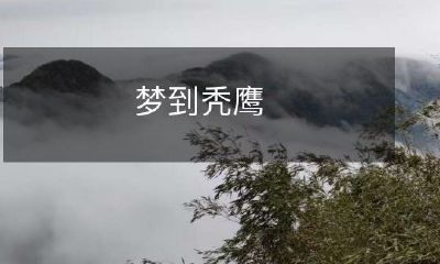 深夜梦中恍见秃鹰翱翔,既瑰丽又神秘的梦境让人心驰神往