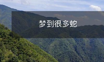 在梦里经历了与成百上千只蛇有关的奇妙体验