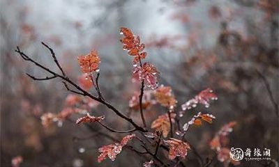 命理预测的范围和精度:从八字算命到八字测命,究竟能涵盖多少事项和层次?