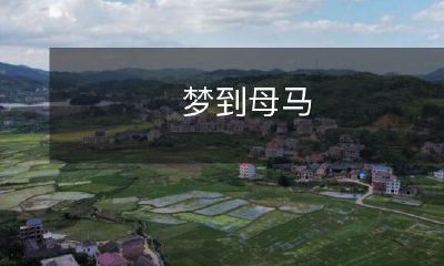 在梦中遇见母马的奇幻经历:梦境中的亲密接触、情感共鸣与心灵启示