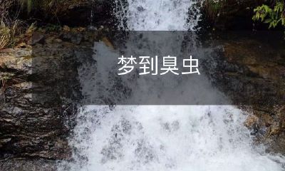 肆虐的恶臭:我的梦中臭虫之旅