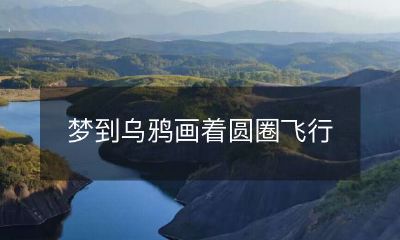 我梦见了乌鸦飞行在一个无限循环的圆圈里的场景