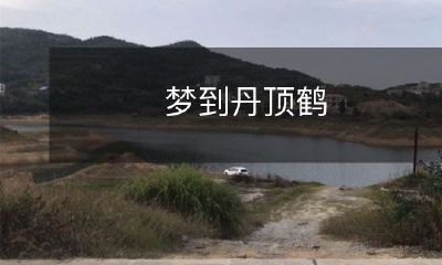 梦见丹顶鹤:探讨梦境中灵兽形象的文化解析和精神启示