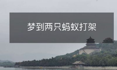 睡眠中见到两只蚂蚁在激烈对抗:梦境中的小小决斗