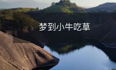 在梦中观看小牛在绿草地上悠闲地吃草的奇妙经历