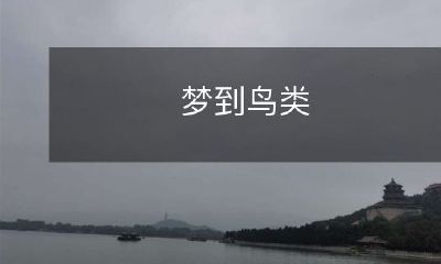 在梦中遇见缤纷羽翼的鸟类世界,探寻其神秘魅力与生命力的奥秘