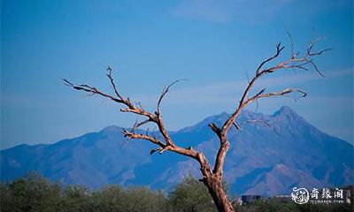 命运的高峰:详细探究90年农历6月1日辰时的神秘力量,揭示上等命的时辰特征