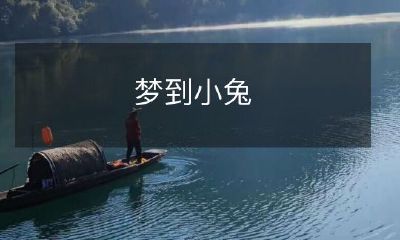 在清晨醒来,我想起了那个神奇的梦境,梦中小兔悠闲的蹦跶和背景中的翠绿色草地让我心情愉悦无比