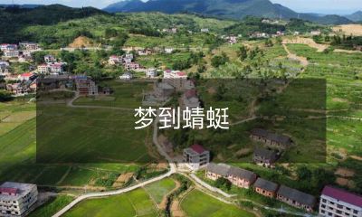 在一个湛蓝天空下的梦境中,我与优雅的蜻蜓拥抱相遇,那一刻仿佛时间停滞了