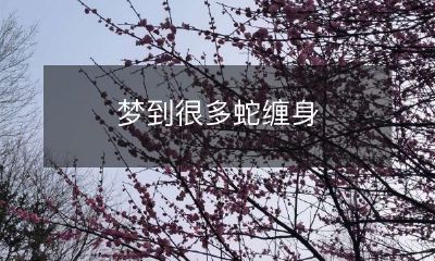 在梦中经历了大量蛇缠绕的恐惧成为了我最深刻的噩梦之一