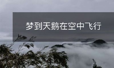 在梦中目睹优美天鹅在高空翩翩起舞的惊人经历