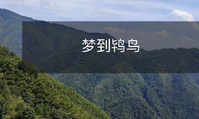 今夜我竟然梦见了一只华丽而神秘的鸨鸟,让我陶醉在无穷无尽的幻想之中!