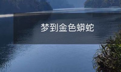 在梦中遭遇金光闪闪的蟒蛇:奇幻与恐惧的迷幻体验!