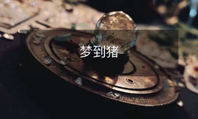 我在梦中亲身体验了和一头聪明、有趣的猪的交流,对于下一步该怎么做,我现在感到困惑