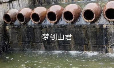 在梦里遇见神秘而令人敬畏的山君,畅游于千层叠峰之间的奇妙之旅