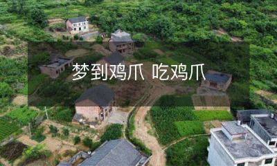 做梦梦见鸡爪,饱尝美味鸡爪之滋味