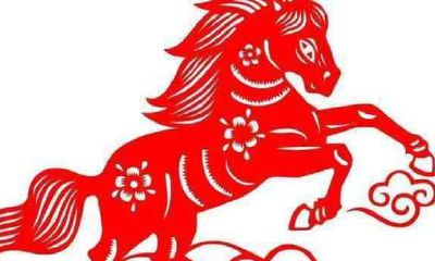 2020年属马财运是怎么样