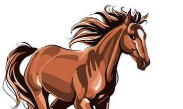 属马和什么属相冲,属马相合的生肖