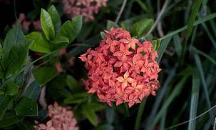 2023年属马人与谁合作是最好的