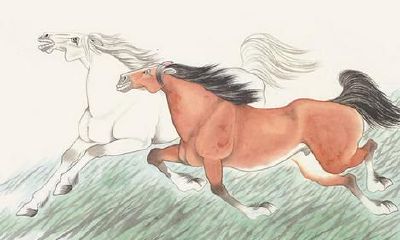 五行是这些的属马人晚年生活非常富裕和健康