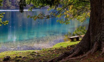 生肖马该如何运用转运小技巧来提升自己的事业运气