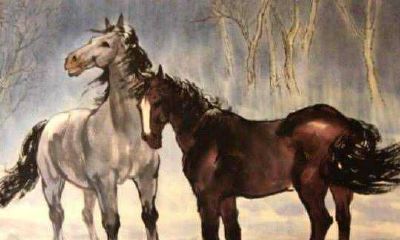 78年属马的属相婚配表 生肖马配什么属相好