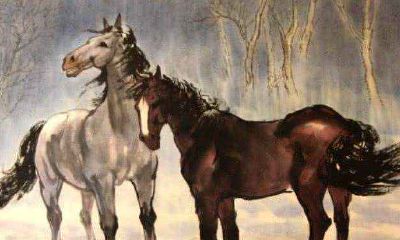 属马人哪年运势好 属马人运气最好的年份