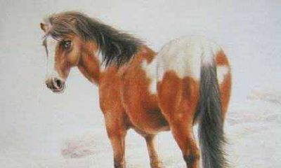 属马的人带什么玉招财转运 戴什么玉最好