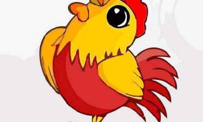 1993年属鸡的人2021年工作事业运势怎么样