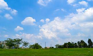 属鸡人与哪些生肖相生相克