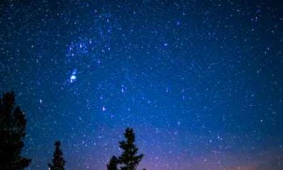 属鸡6月份出生的命运好不好