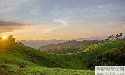 1981年属鸡男人2022年虎年的财运、事业运势预测分析