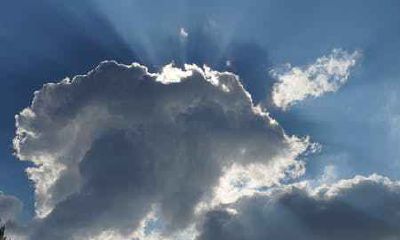 属鸡人1月份出生的命运好不好