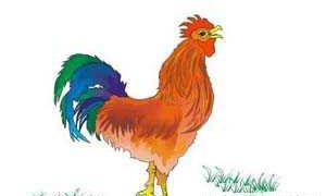 1969年属鸡的2022年事业工作运势如何