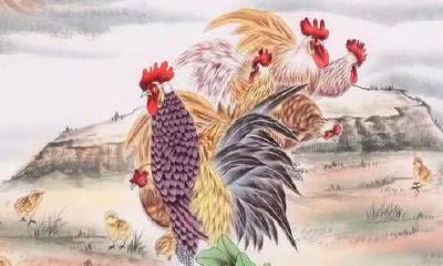 2024年不同年龄的生肖鸡多大