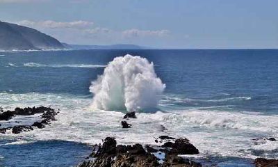 属鸡和属兔的婚姻怎么样 属鸡和属兔婚姻配吗