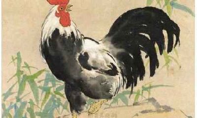 属鸡女人一生的命运如何 属鸡女人命运好不好