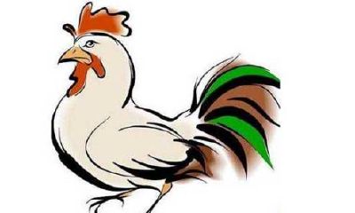 1981年生肖鸡2023年的贵人是什么生肖