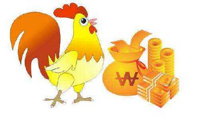 属鸡人的婚姻与命运好吗