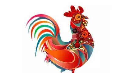 属鸡的人不能与这些属相结婚 婚配对象不合适会如何