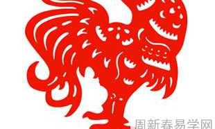 生肖属鸡为什么对别人有第一好感