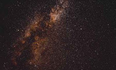 属鸡申时出生的人命运怎么样