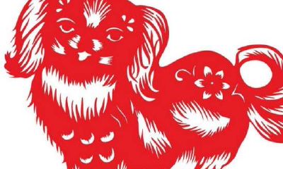 81年出生的鸡女一生的财运走向