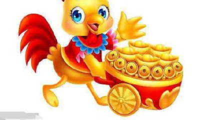 属鸡出生哪几月桃花运最好 几月出生的生肖鸡桃花最旺