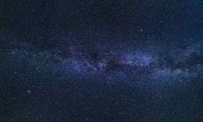 鸡年是哪几年 鸡年出生的命运