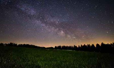 几月属鸡是苦命属鸡,4月最命苦