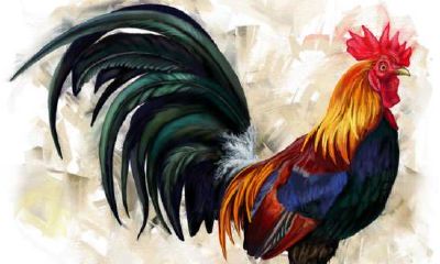 2023年属鸡人的桃花运势怎么样 感情会如何发展