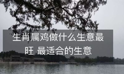 生肖属鸡做什么生意最旺 最适合的生意