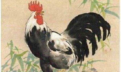 生肖鸡出生的最好月份是?最好的时辰是?